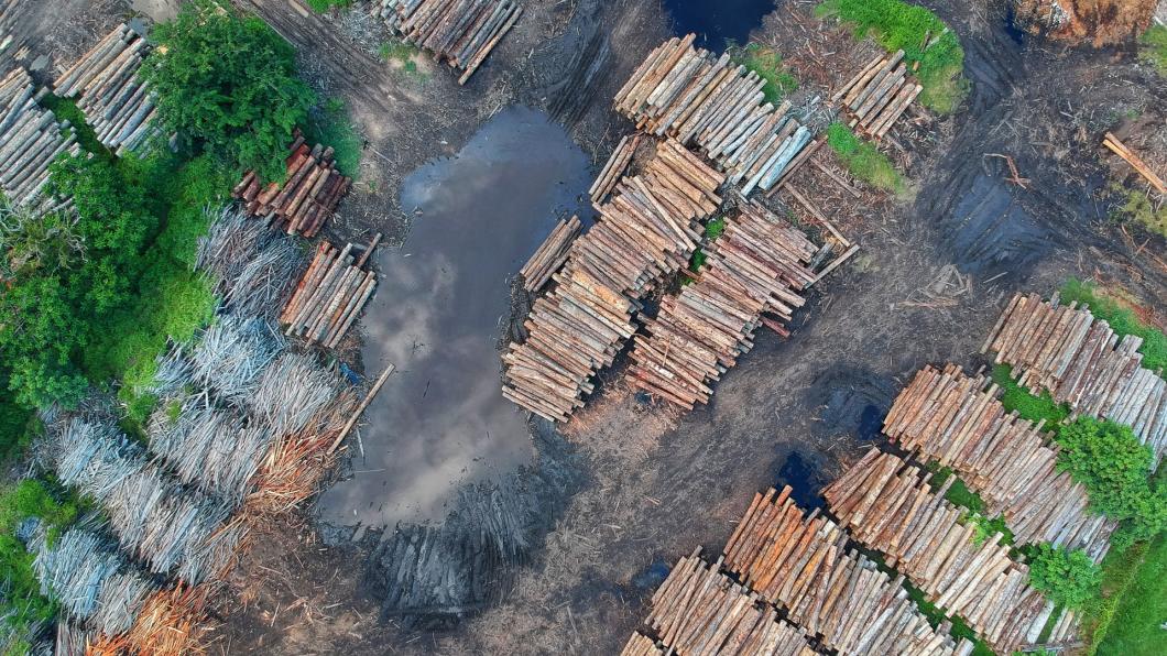 Photo by Pok Rie from Pexels bird-s-eye-view-of-woodpile-1268076.jpg